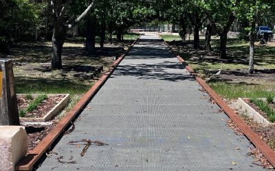 Corridor of Oaks--image1