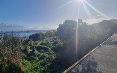 case syudy main image